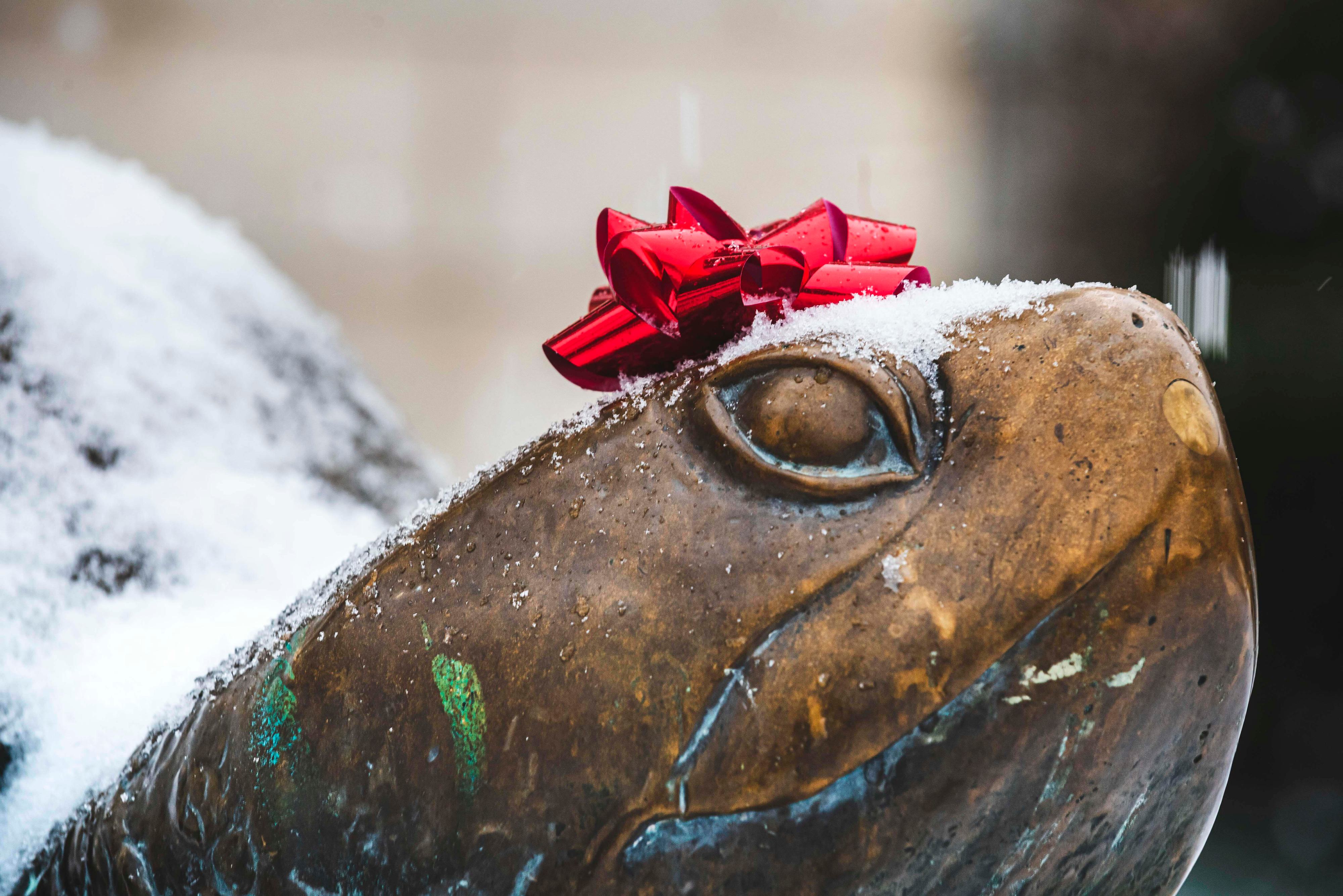 UMD Experts Available For Holidays 2024 UMD Right Now umd-experts-available-for-holidays-2024-umd-right-now