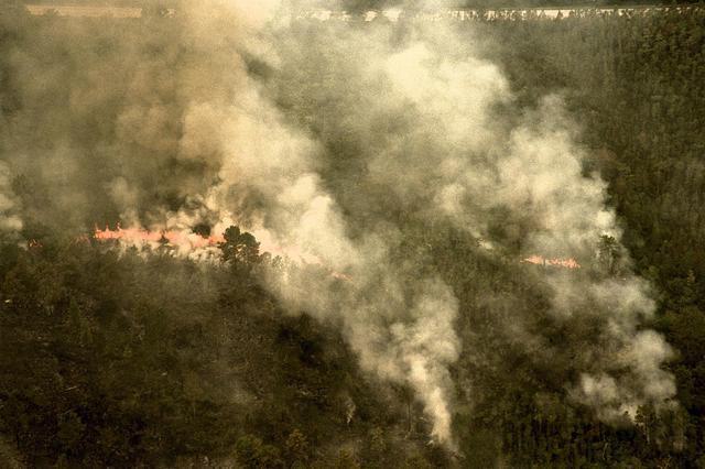 image ofWildfire Image KSC NASA