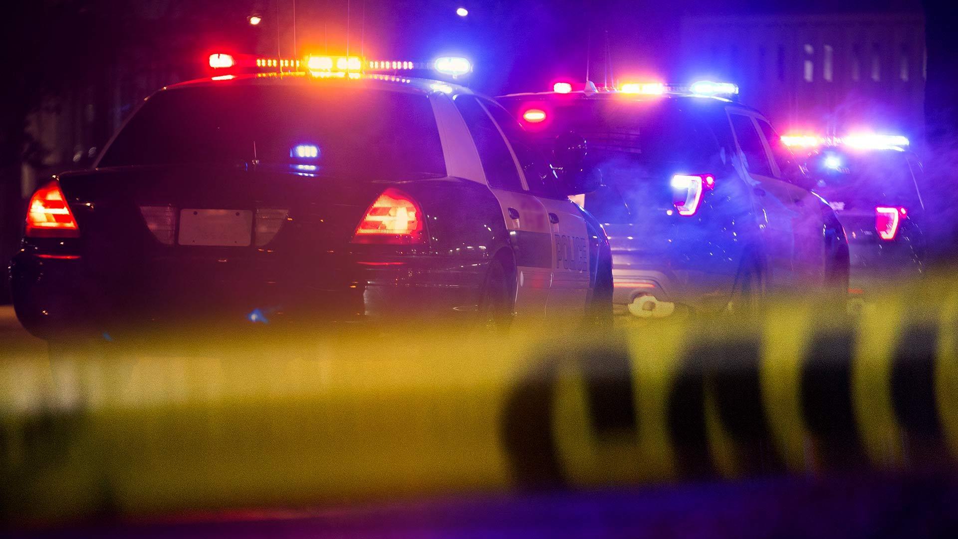image ofPolicelights
