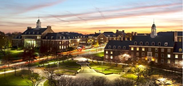 Social Sciences image